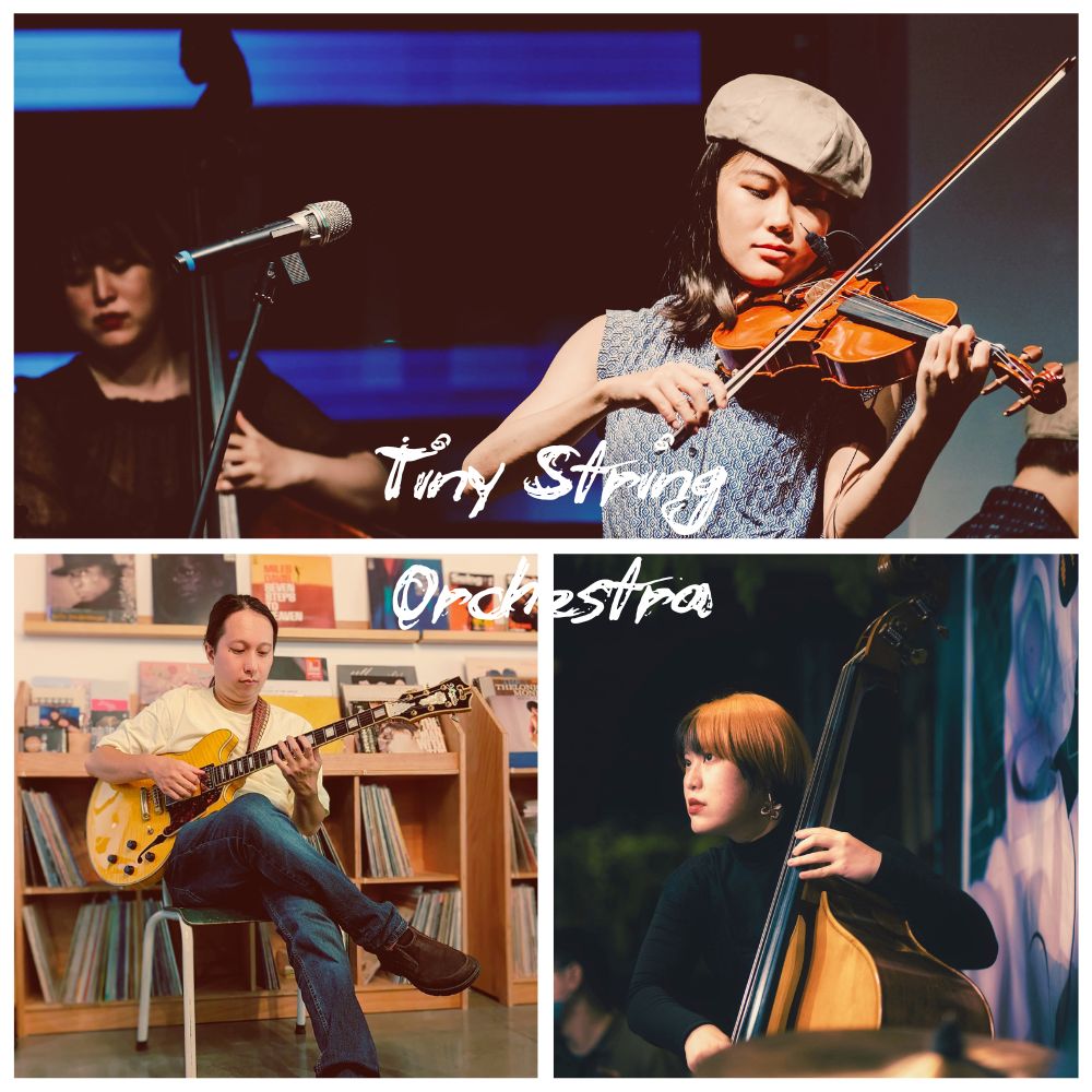 Tiny-String-Orchestra｜全弦出動！